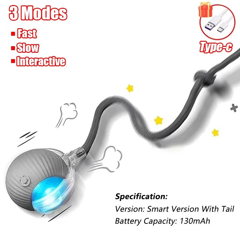 Smart Motion Ball for Pets