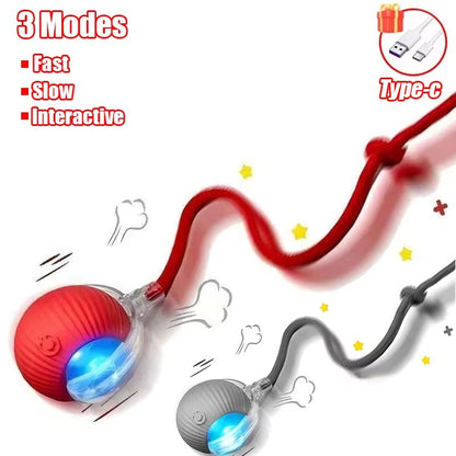 Smart Motion Ball for Pets