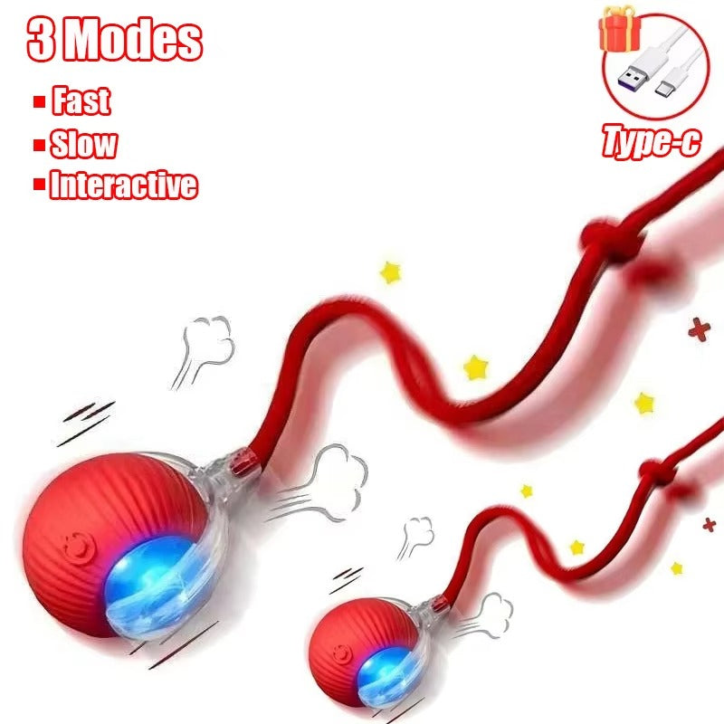 Smart Motion Ball for Pets