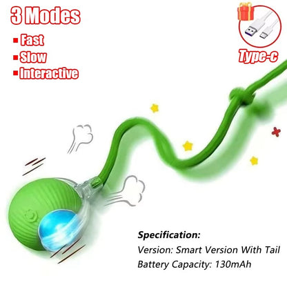 Smart Motion Ball for Pets
