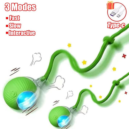 Smart Motion Ball for Pets