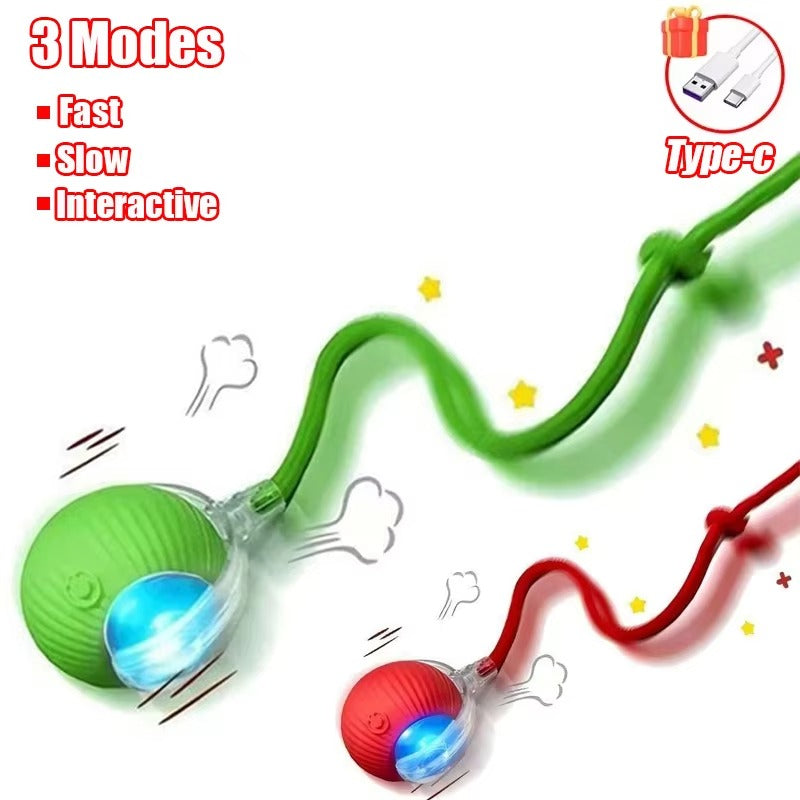 Smart Motion Ball for Pets