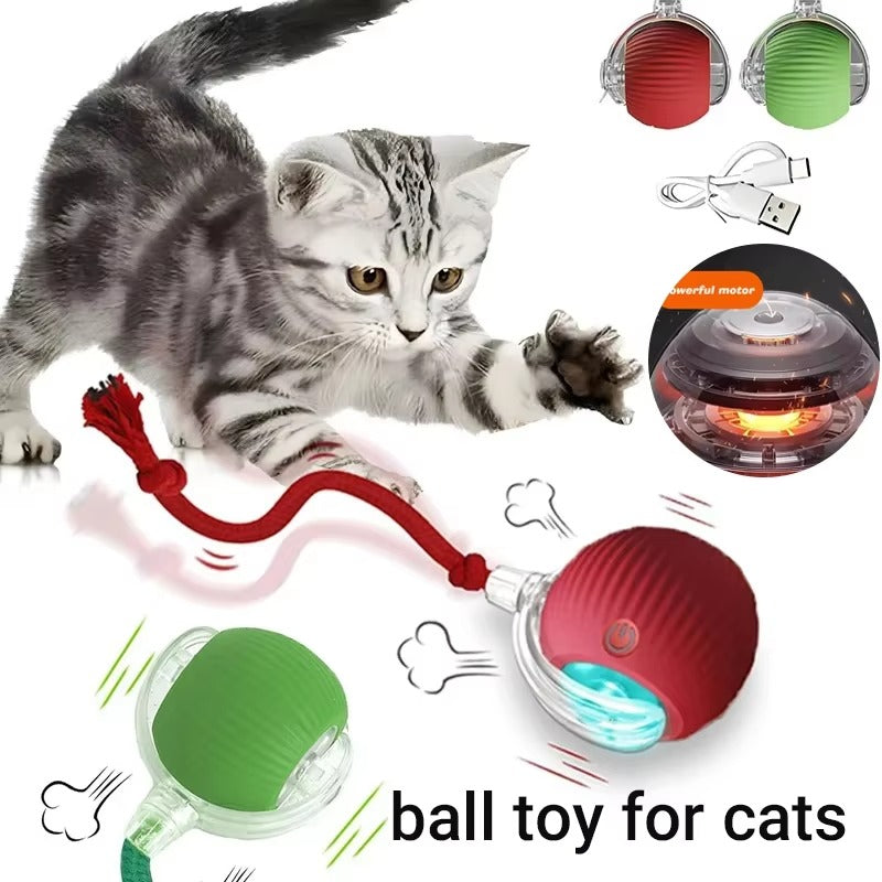 Smart Motion Ball for Pets
