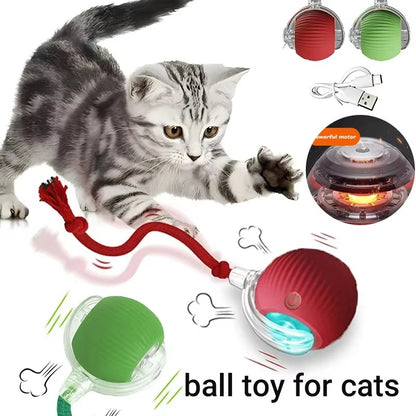 Smart Motion Ball for Pets